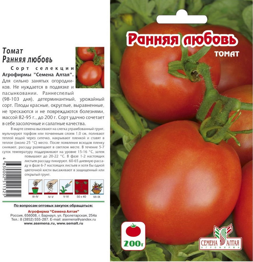 Томат алтайский розовый: отзывы и фото урожайности от тех кто сажал помидоры, характеристика и описание сорта