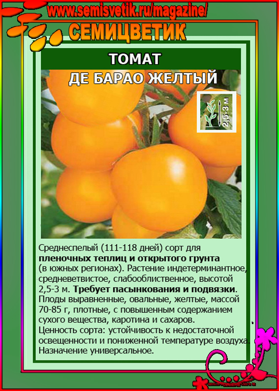 Описание и агротехника выращивания томата Груша оранжевая