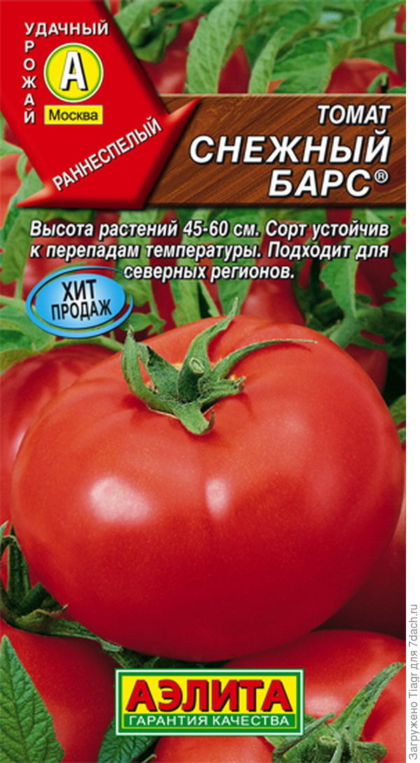 Томат "снежный барс" : описание сорта помидор и их фото, преимущества и недостатки, а также особенности выращивания русский фермер