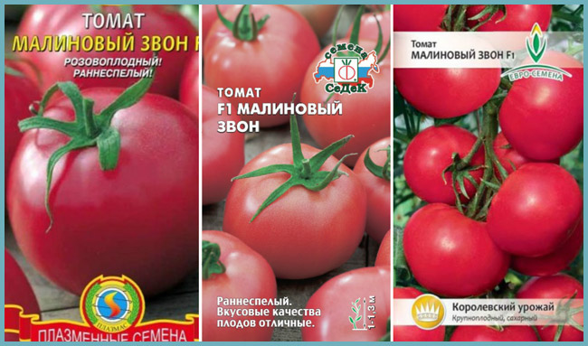 Характеристика томата Малиновый Ожаровский и агротехника выращивания