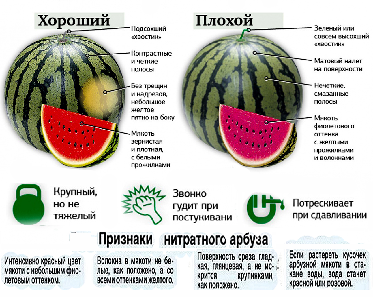 Астраханский арбуз: описание сорта, выращивание и хранение