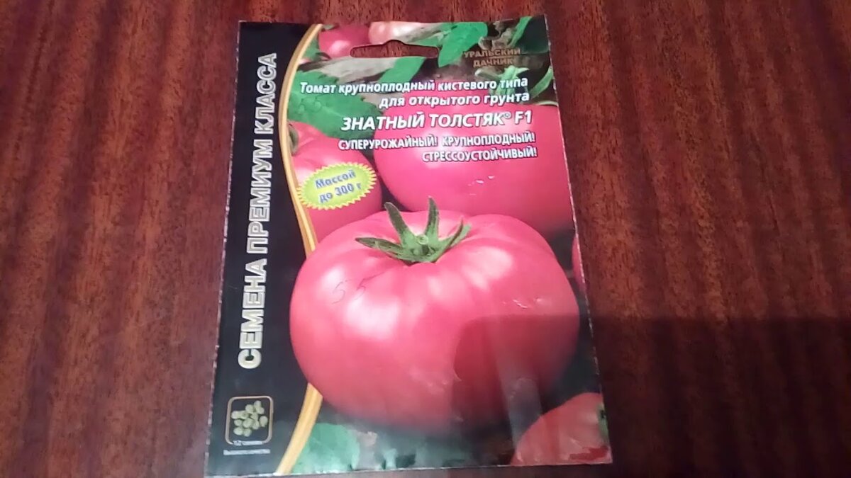 Сорт помидор толстой описание сорта фото