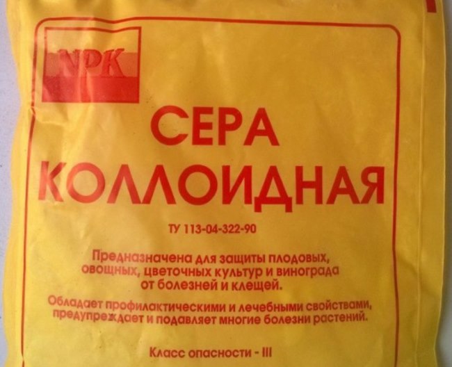 Обработка винограда медным купоросом, для чего и как правильно обрабатывать, в том числе дозировка препарата