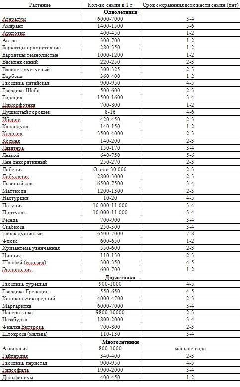 Срок хранения семян укропа, советы по сбору и подготовка семян, важные условия и последствия при нарушении правил