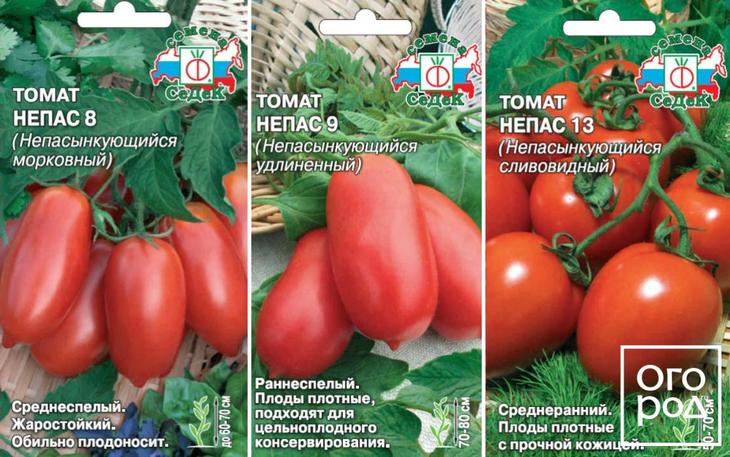 Лучшие сорта непасынкующихся томатов
