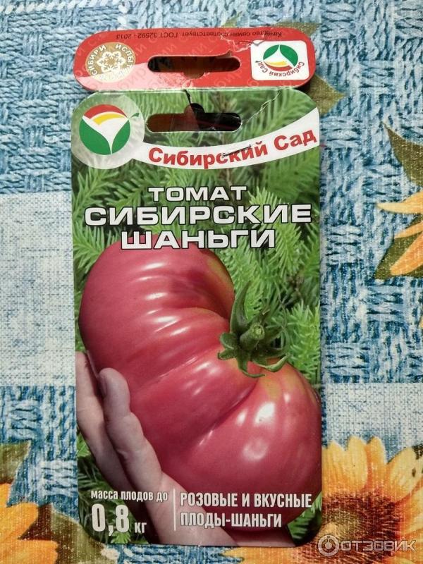 Лучшие сорта томатов сибирской селекции для теплиц, для открытого грунта с фото и описанием