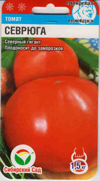 Описание сорта томата Севрюга (Пудовик), его характеристика и урожайность