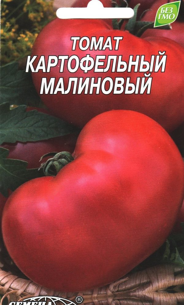 Томат малиновый картофельный фото