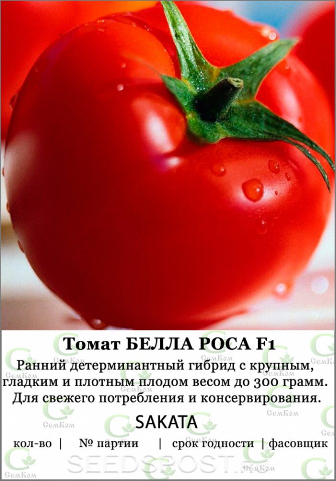 Описание гибридного томата Киржач и выращивание из семян