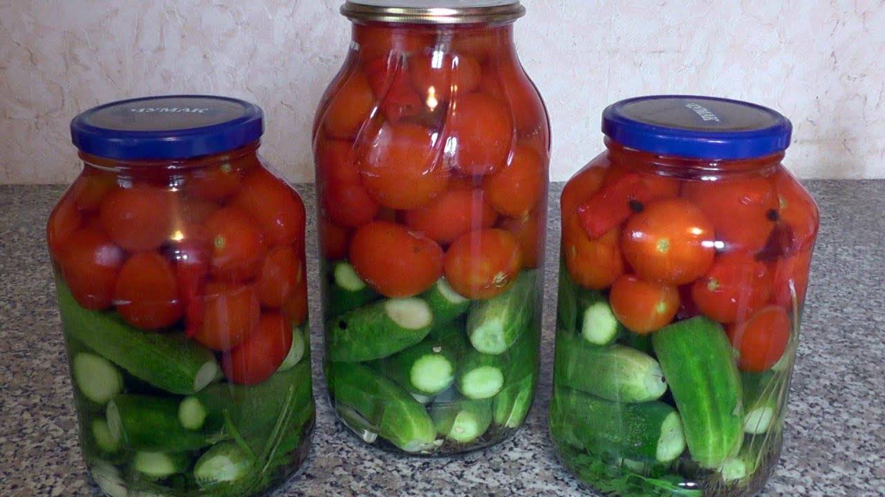 Ассорти из помидоров и огурцов: как правильно выбрать овощи для заготовки на зиму, лучшие рецепты