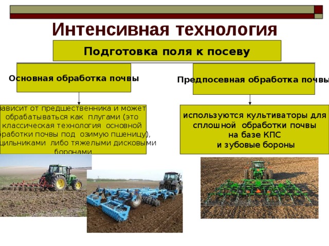 Основная предпосевная обработка почвы. технология возделывания кукурузы на зерно - дипломная работа