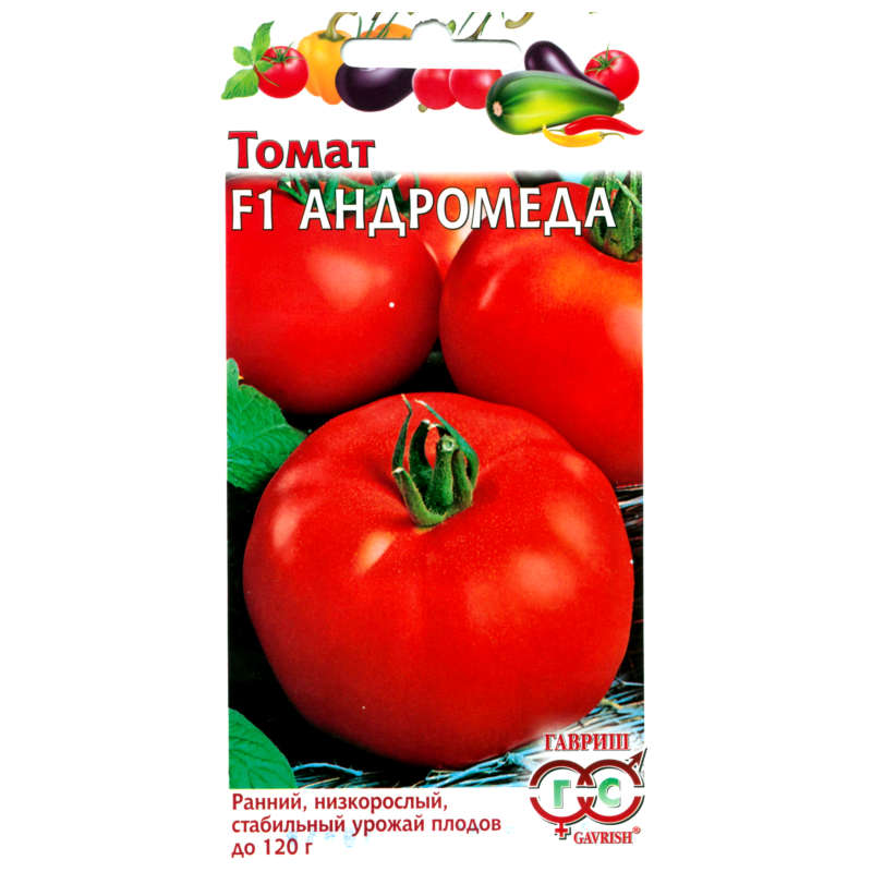 Томат андромеда: характеристика сорта, инструкции по выращиванию и подробное описание томатов (110 фото)