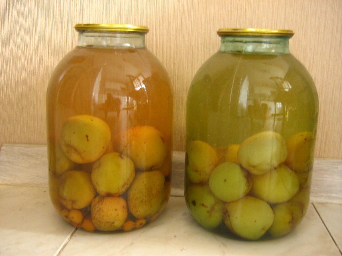 5 рецептов заготовок компота на зиму из персиков
