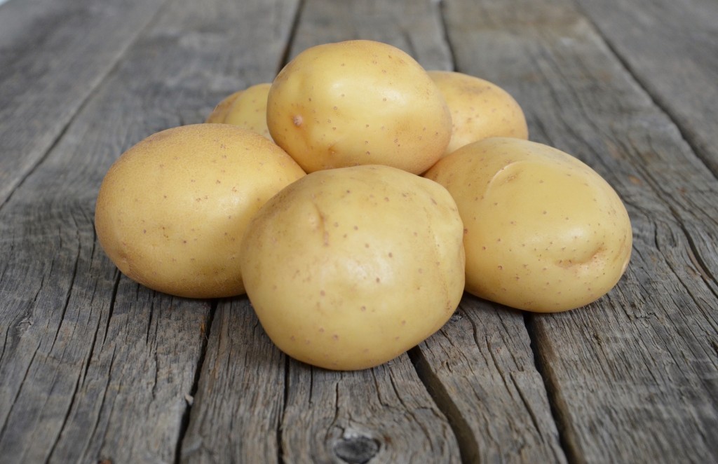 Картофель «голубизна»: характеристика и описание сорта