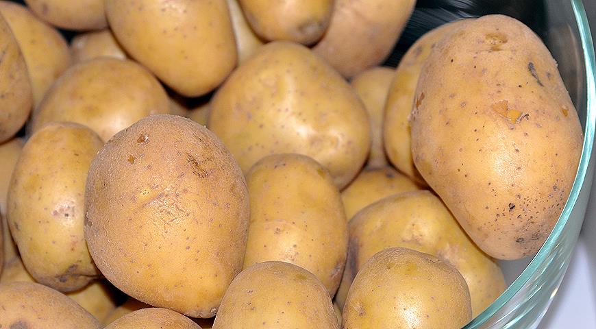 Описание сорта картофеля джувел
