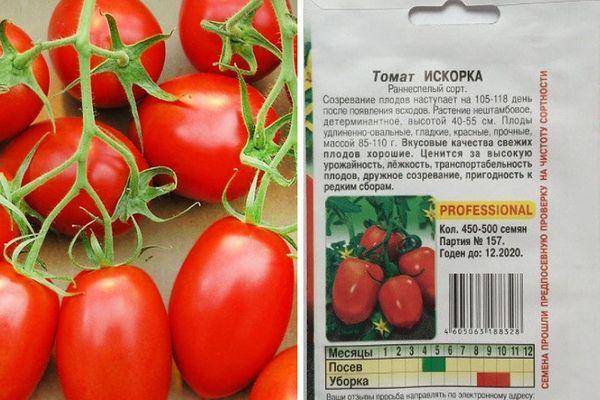 Описание томата Искорка, правила выращивания рассады и урожайность