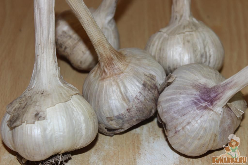 Чеснок грибовский: описание озимого сорта, выращивание и уход с фото
