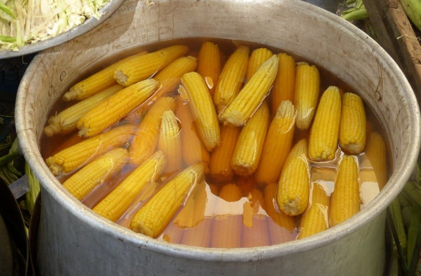 Кукуруза консервированная рецепты в домашних условиях в початках. кукуруза на зиму в домашних условиях | дачная жизнь