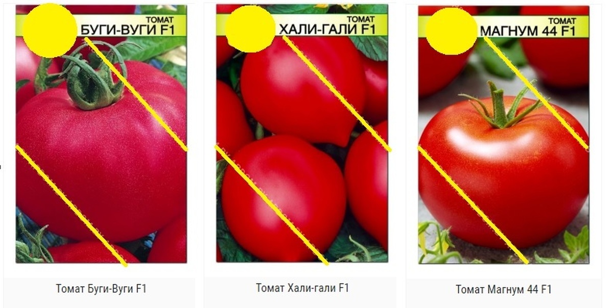 Раннеспелые сорта томатов: алфавитный перечень помидор с рекомендациями по выращиванию в открытом грунте и теплицам русский фермер