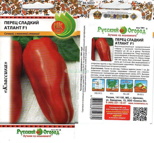 Характеристика крупноплодного болгарского перца сорта Атлант и его выращивание