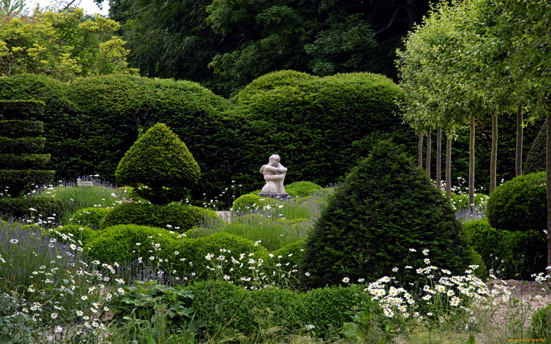 Каменистый сад в ландшафтном дизайне — советы по обустройству - 22 фото