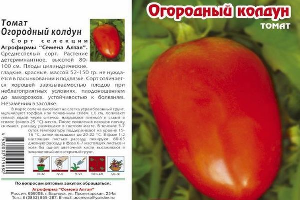 Томат огородник характеристика и описание сорта фото. Сорт томата огородный Колдун. Помидоры сорт огородный Колдун. Томат огородный Колдун семена Алтая. Томаты огородный Колдун описание сорта.