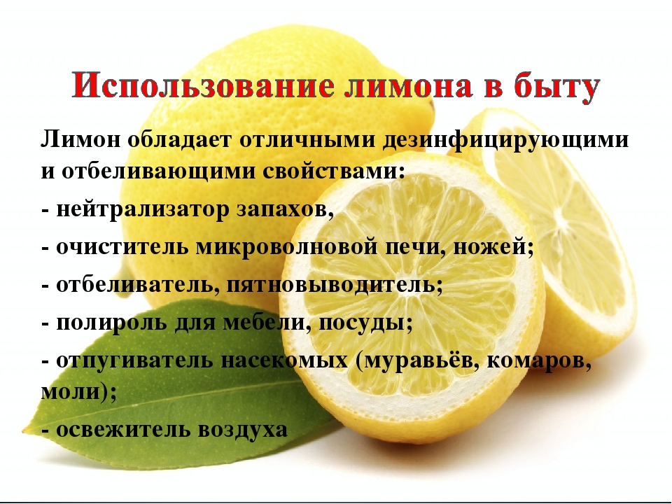 Лимон. польза лимонов для организма человека