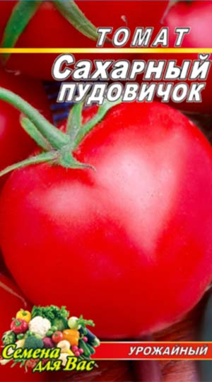 Характеристика и описание сорта томата сахарный пудовичок – дачные дела