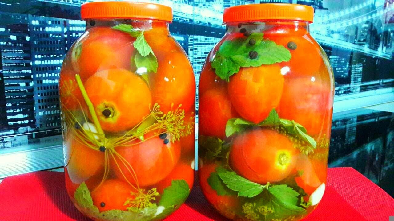 Засолка помидоров на зиму в банках: 15 простых и вкусных рецептов приготовления