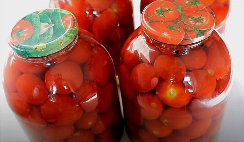 Лучшие рецепты соленых помидоров в банках горячим способом на зиму