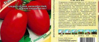 Веселый гном: описание сорта томата, характеристики помидоров, посев
