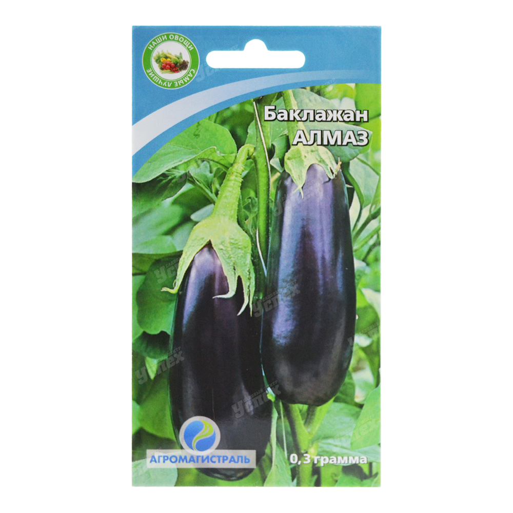 Баклажан черный красавец (блэк бьюти): характеристика и описание сорта, особенности выращивания и ухода, фото, отзывы