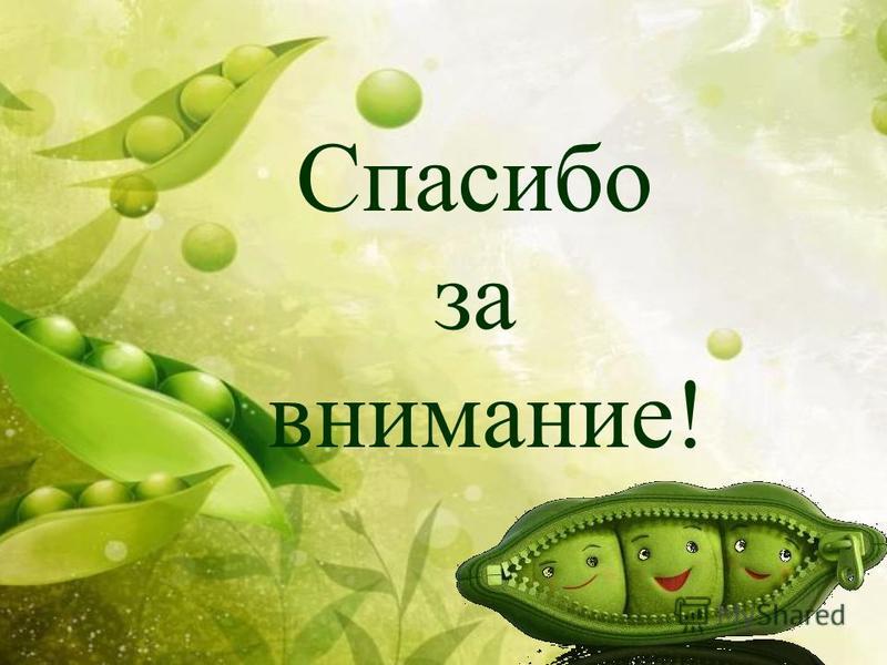 Полезные свойства и вред зеленого гороха для здоровья организма