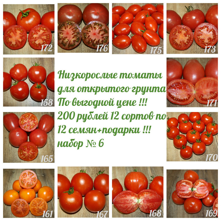 Как вырастить рассаду томатов в домашних условиях на supersadovnik.ru