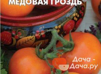 Аппетитные томаты необычного цвета чёрная гроздь: описание сорта, характеристики, фото