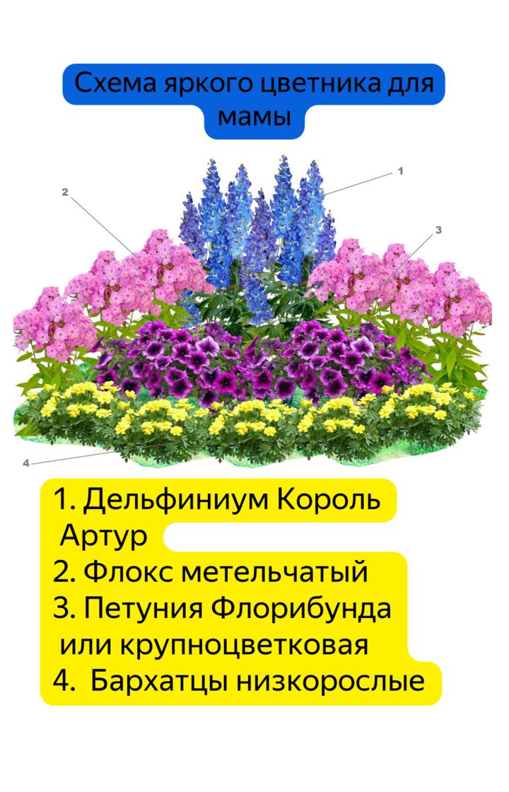 Схемы посадки цветов на клумбе для начинающих - разбор примеров