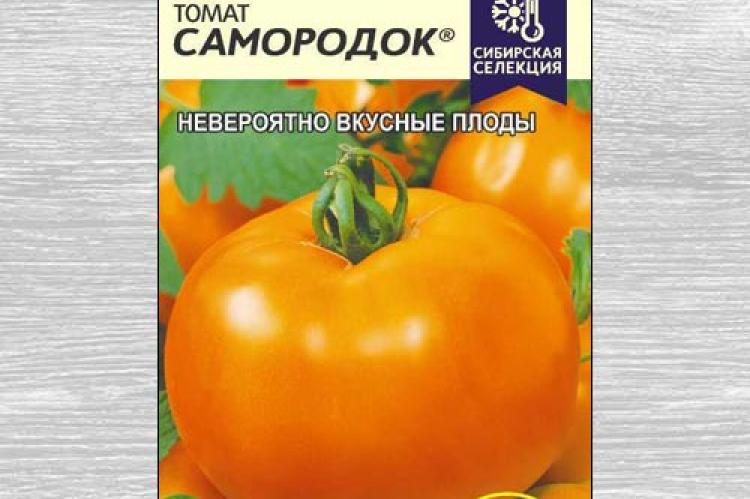 Томат "золотой король": описание характеристик сорта, рекомендации по выращиванию отличного урожая помидор русский фермер