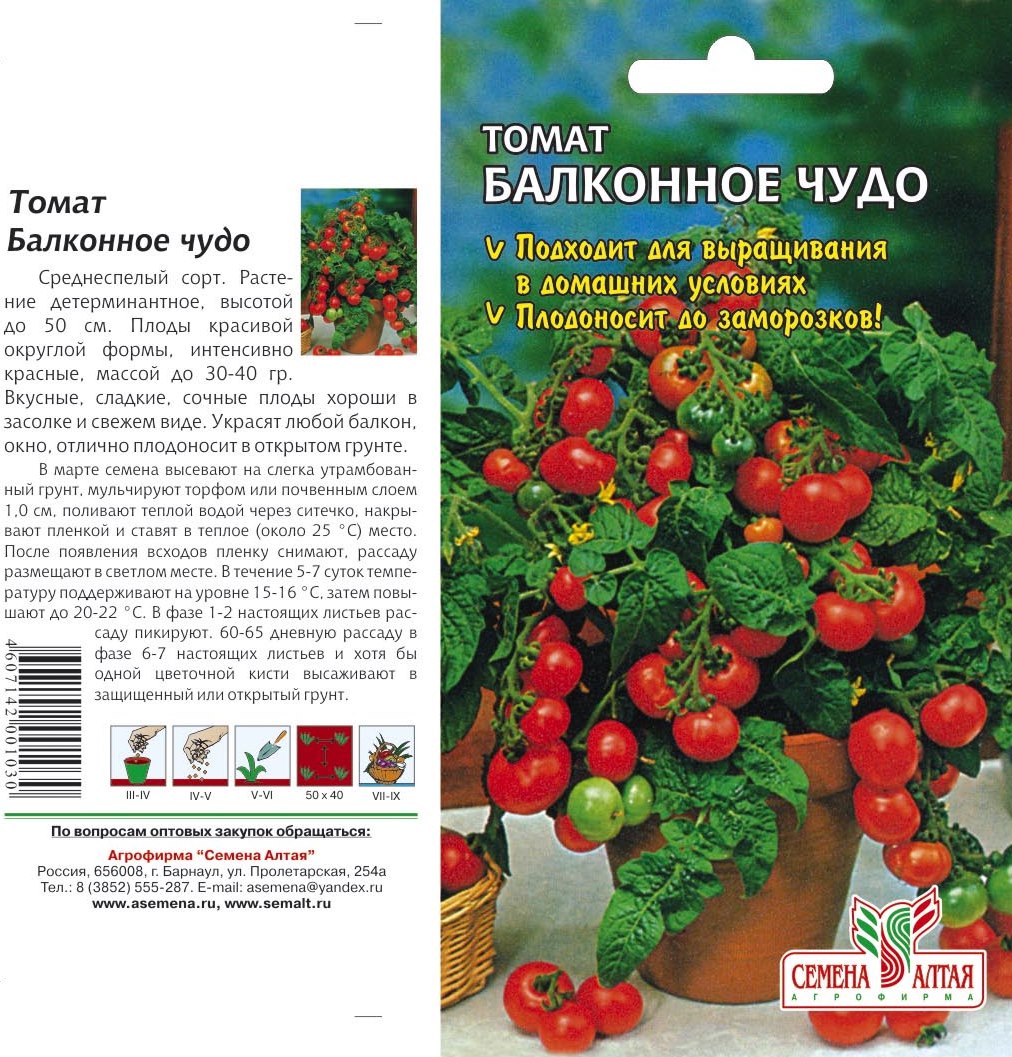 Выращиваем помидоры без рассады — сорта, преимущества и недостатки метода