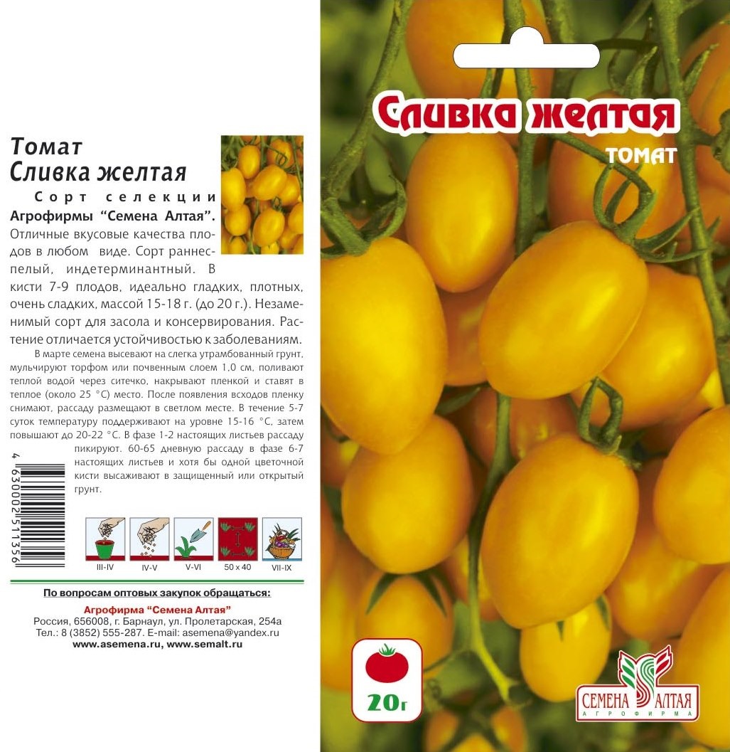 Томат желтый гигант — описание сорта, урожайность, фото и отзывы садоводов