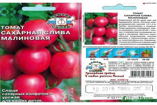 Характеристика томата Сахарная слива малиновая и выращивание сорта