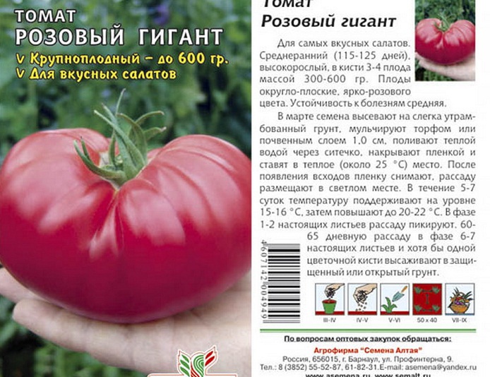 Томат "оранжевый гигант": описание сорта, фото плодов, особенности, урожайность помидор русский фермер
