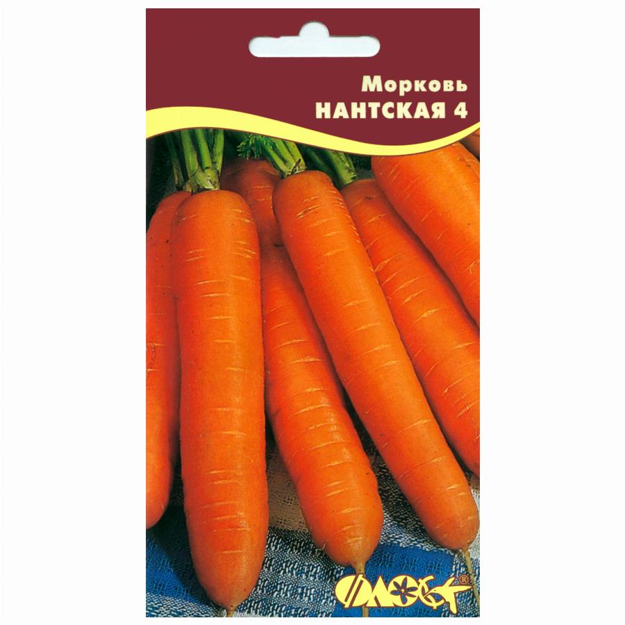 Морковь нантская 4 — описание сорта, фото, отзывы, посадка и уход