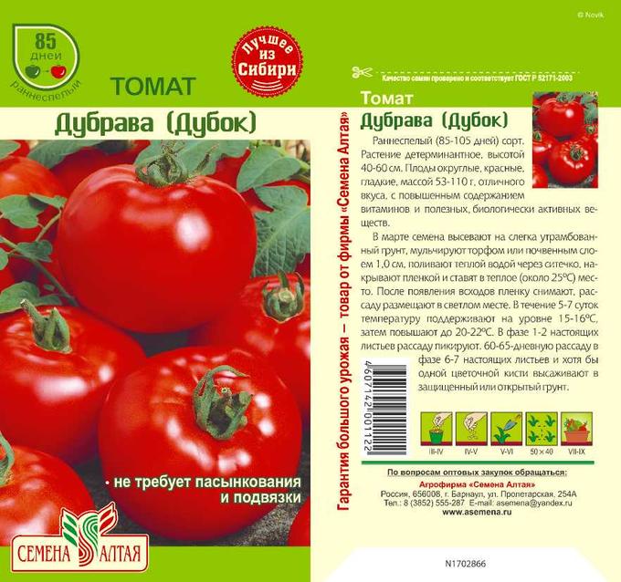 Характеристика и описание томата сорта Дубрава, урожайность и выращивание