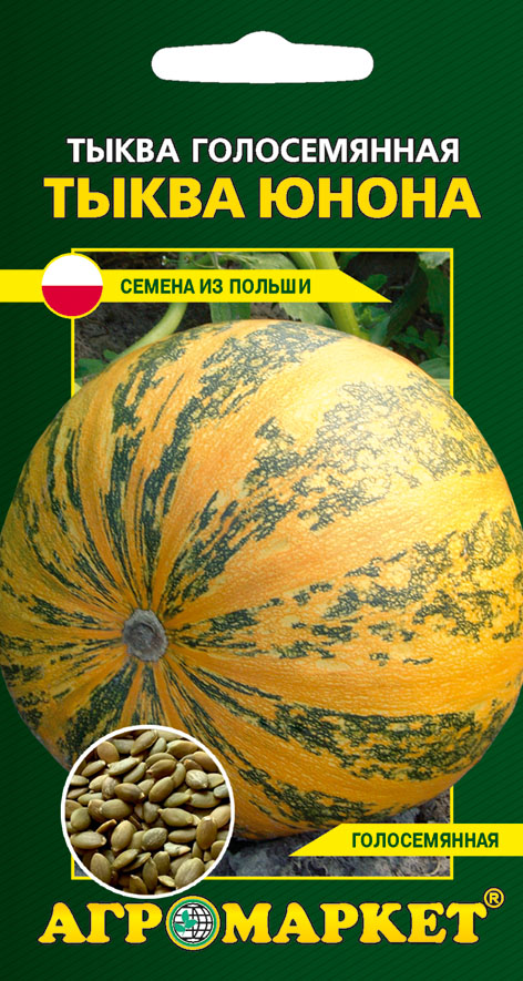 Характеристика тыквы голосемянной и рекомендации по выращиванию сорта