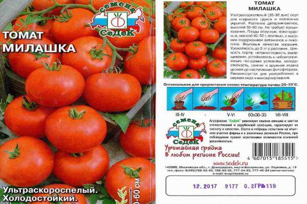 Описание томата Милашка и рекомендации по выращиванию растения