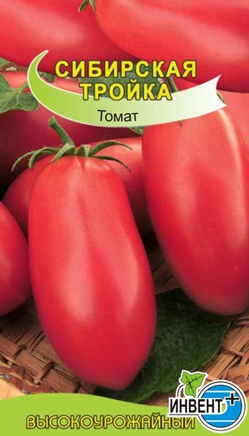Описание томата сибирская тройка оригинальной продолговатой формы, отзывы и фото, правила выращивания, посадки, ухода, урожайность