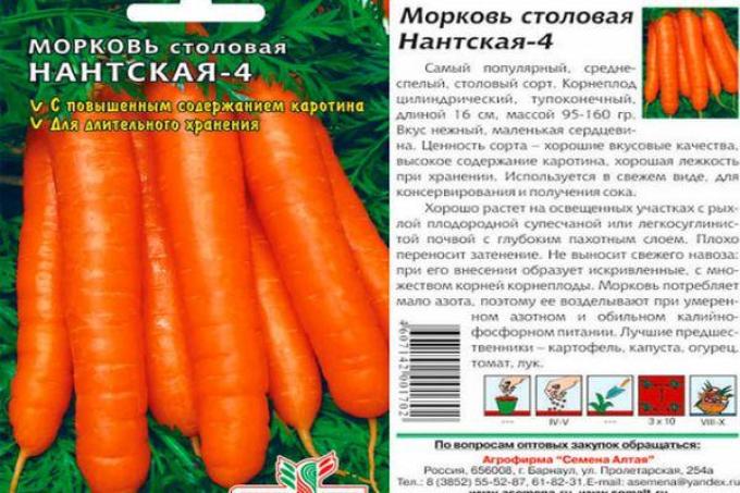 Ранние сорта моркови: для средней полосы, скороспелые и ультраранние для урала и северо-запада, описание и характеристика, самые сладкие виды