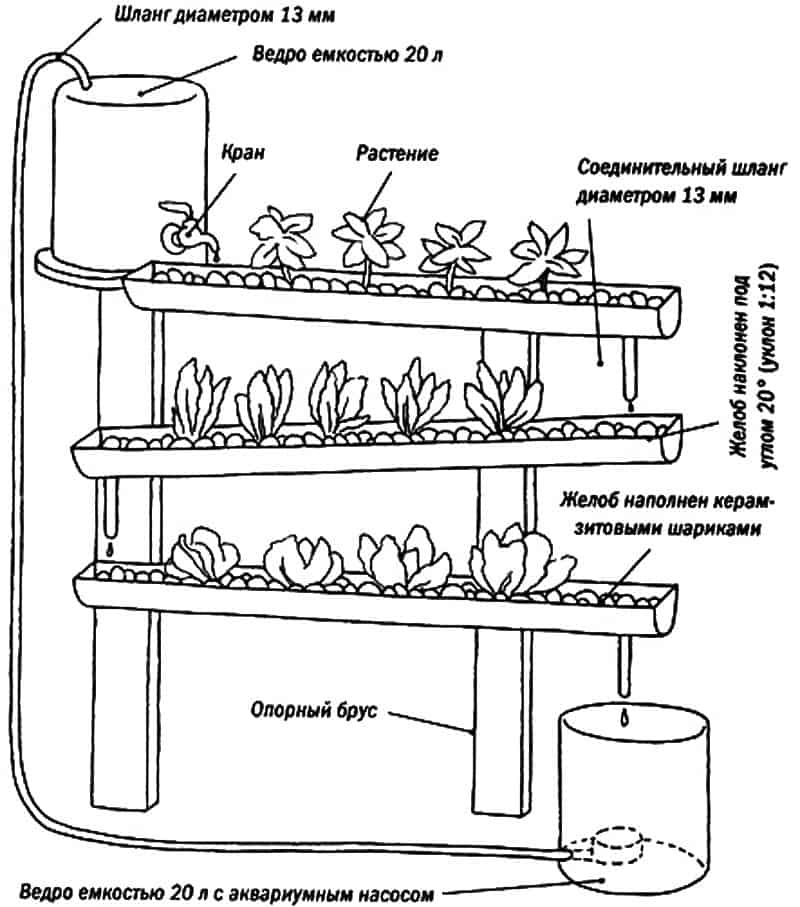 Клубника на гидропонике: установка системы, правила выращивания