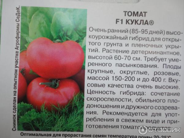 Для теплиц и открытого грунта: томат мадейра