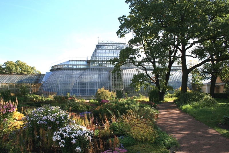 Ботанический сад твгу — википедия. что такое ботанический сад твгу